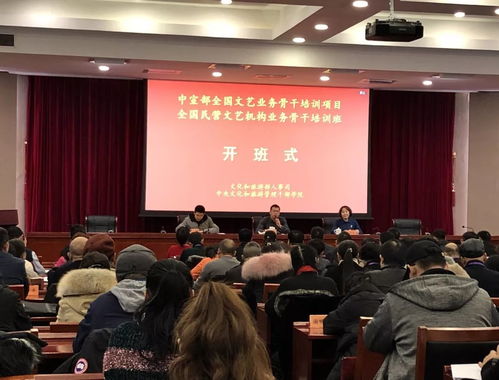 一次民营文艺机构人士豁然开朗的培训班 艺术培训的营利性民办培训机构探析