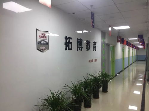 平湖市校外培训机构白名单公布 聚焦艺术类营利性民办机构，为家长选择保驾护航