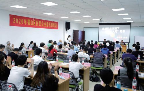 蜀山破局新生 七项经济指标领跑合肥城区，艺术培训产业成新增长极