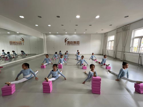 晟韵艺术培训学校积极备战金孔雀杯第七届少儿舞蹈大赛 营利性民办艺术培训机构的专业探索